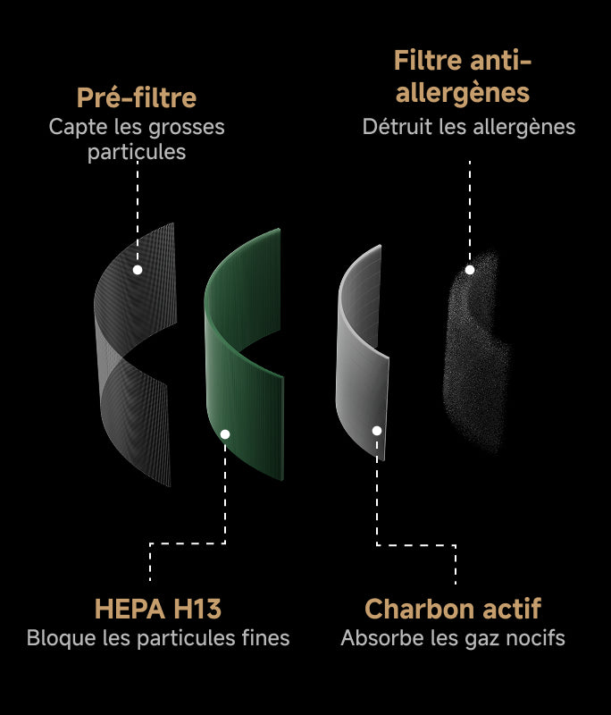 Limiter l’allergie directement à la source - 