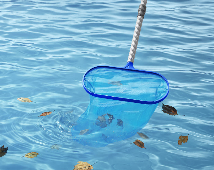 mova handler v10 nettoyage complet du fond à la surface avec écumeur