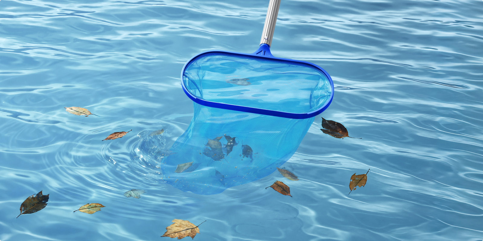 mova handler v10 nettoyage complet du fond à la surface avec écumeur